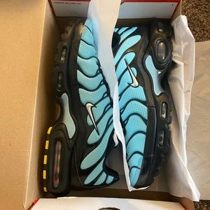 NWT Nike Air Max Plus (Tiffany Blue)